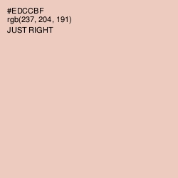 #EDCCBF - Just Right Color Image